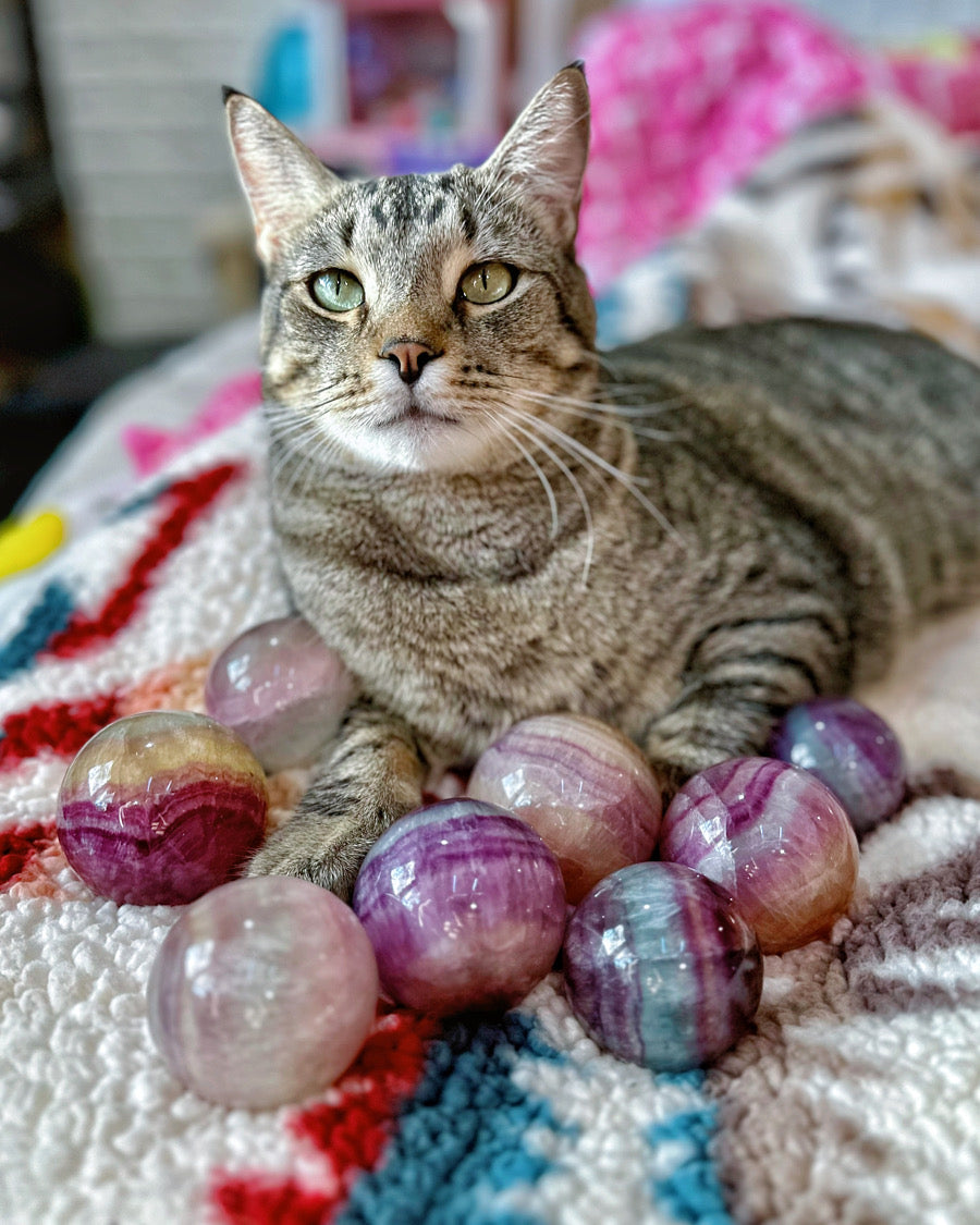 ♡ HQ Gemmy Candy Fluorite Spheres ♡